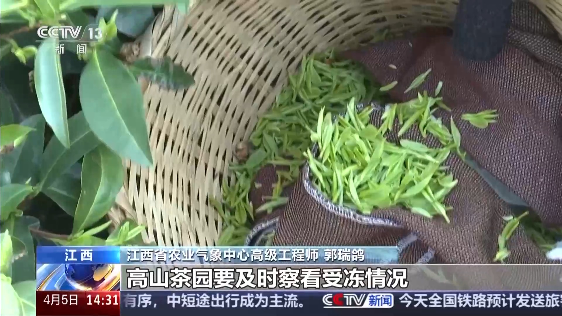 
北京大学第三医院黄牛代挂号电话票贩子号贩子网上预约挂号,住院检查加快,清明也分“早晚前后” 揭秘藏在节气里的农事密码