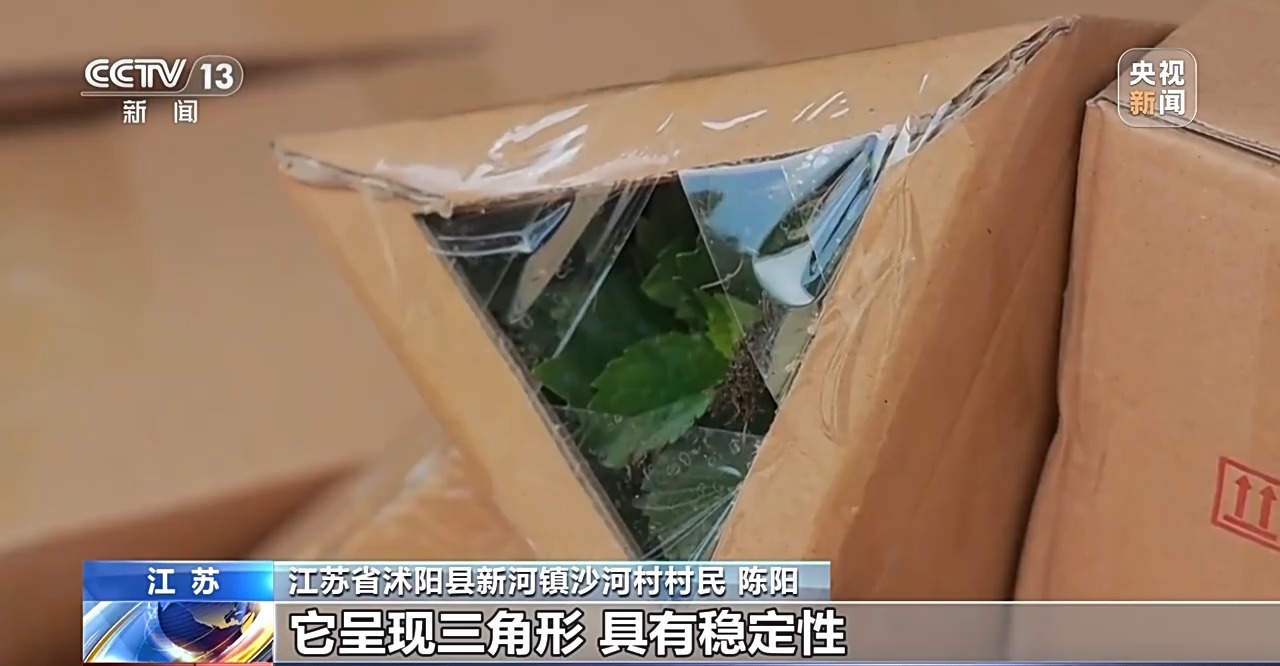 
江苏省中医院黄牛代挂号电话票贩子号贩子网上预约挂号,住院检查加快,定时开花、抢“鲜”抵达……“鲜花经济”持续绽放新活力