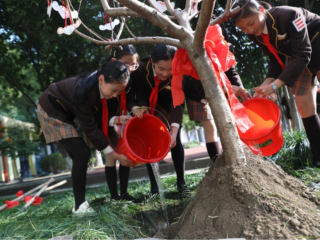 
成都华西医院黄牛代挂号电话票贩子号贩子网上预约挂号,住院检查加快,第一视点丨一封春天的来信