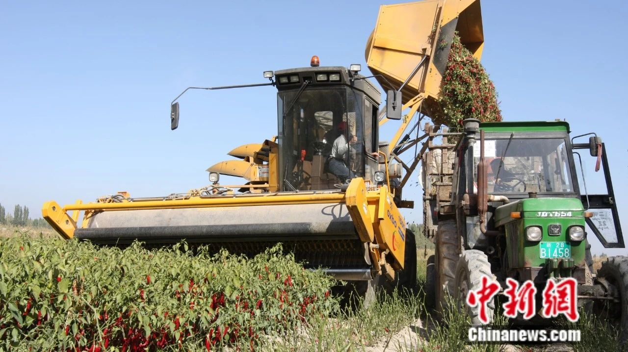 
北京八大处整形医院黄牛代挂号电话票贩子号贩子网上预约挂号,住院检查加快,全球12%辣椒红素产自新疆这座小城
