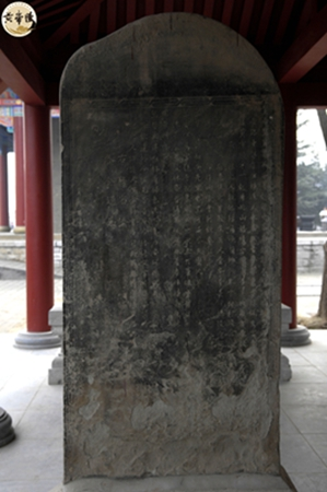 
南京中科研究所黄牛代挂号电话票贩子号贩子网上预约挂号,住院检查加快,人这一辈子，一定要去陕西看这5棵5000年古树！