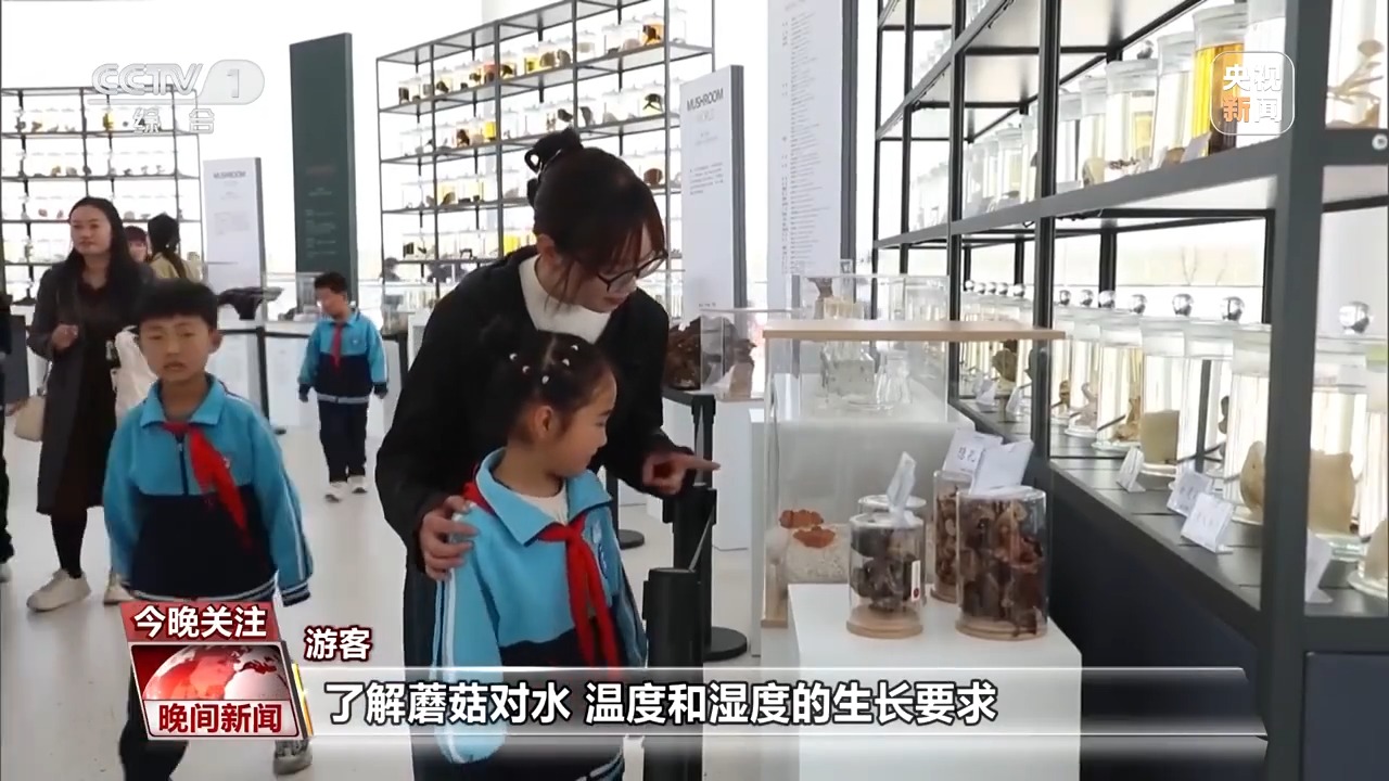 
民航总医院黄牛号贩子票贩子代网上预约代挂号电话悬崖上的咖啡馆、蘑菇尝鲜游......清明假期这些旅行玩法很有趣