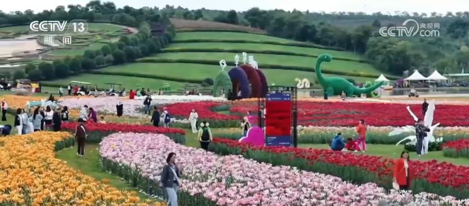 首都医科院整形外科医院黄牛代挂号电话票贩子号贩子网上预约挂号,住院检查加快,亮眼数据盘点清明假期蓬勃活力 各地“春日经济”不断升温