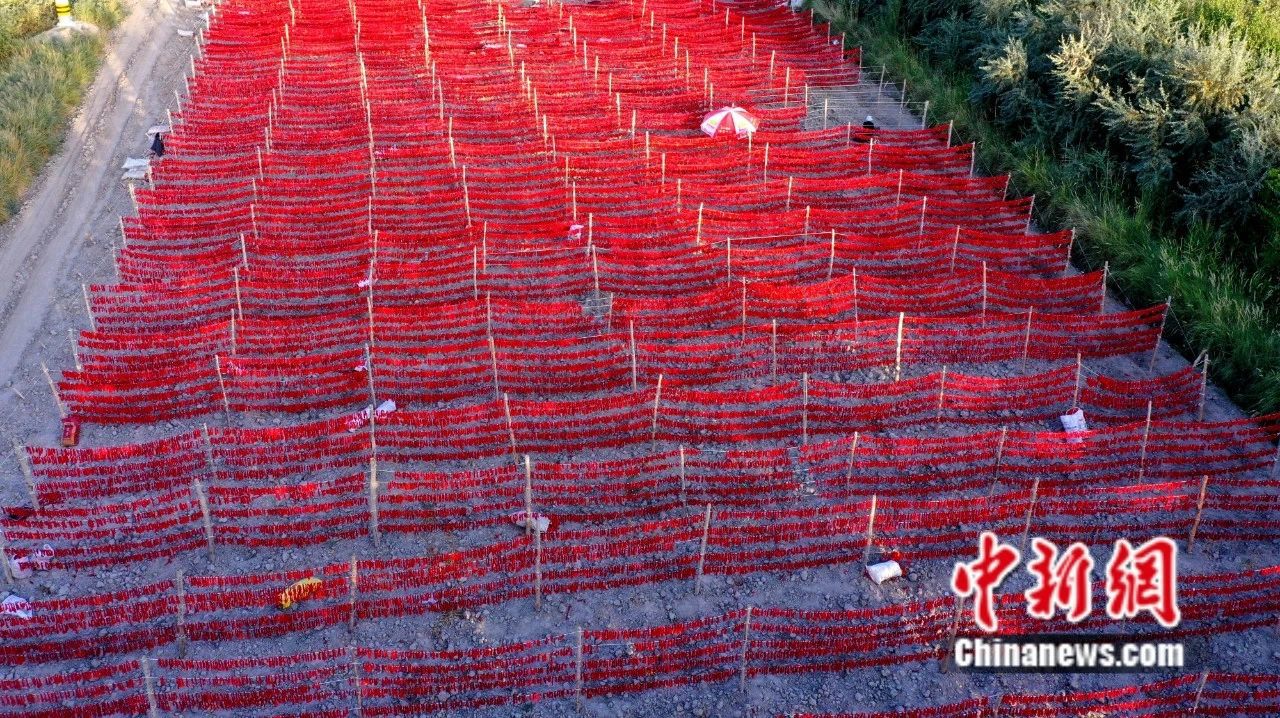 
北京八大处整形医院黄牛代挂号电话票贩子号贩子网上预约挂号,住院检查加快,全球12%辣椒红素产自新疆这座小城