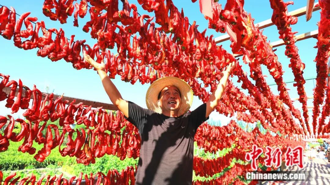 
北京八大处整形医院黄牛代挂号电话票贩子号贩子网上预约挂号,住院检查加快,全球12%辣椒红素产自新疆这座小城