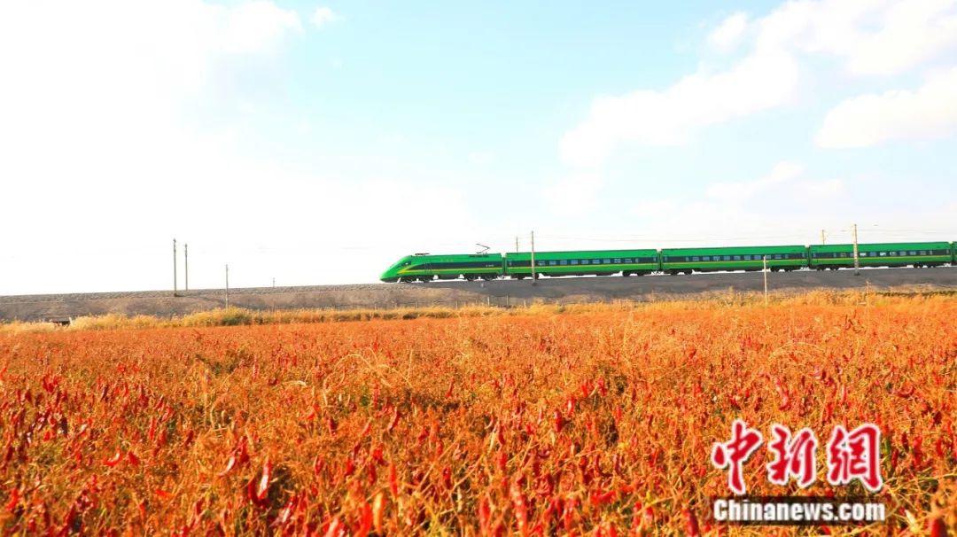 
北京八大处整形医院黄牛代挂号电话票贩子号贩子网上预约挂号,住院检查加快,全球12%辣椒红素产自新疆这座小城