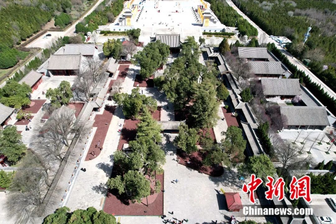 
南京中科研究所黄牛代挂号电话票贩子号贩子网上预约挂号,住院检查加快,人这一辈子，一定要去陕西看这5棵5000年古树！