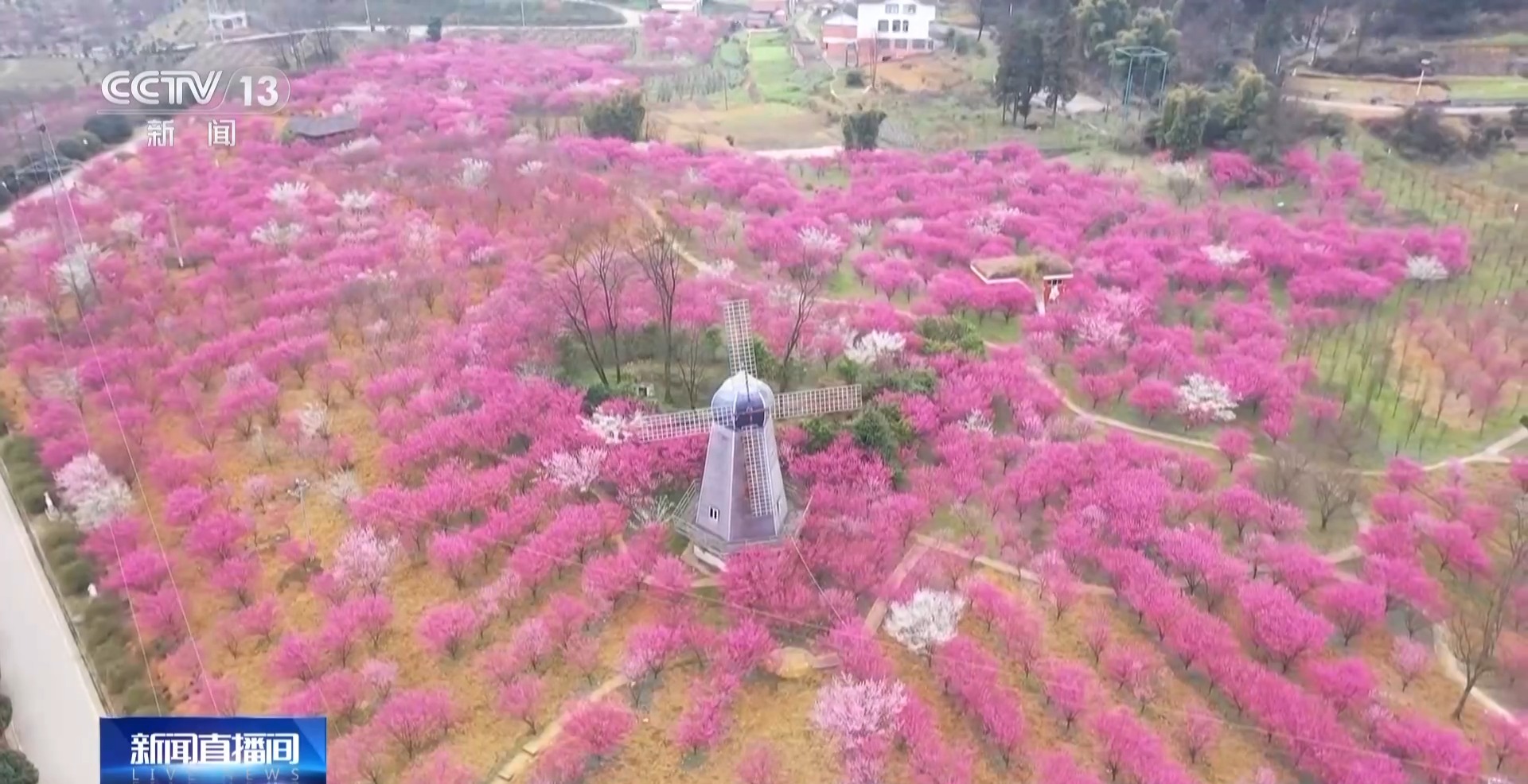 
上海眼耳鼻喉科医院黄牛代挂号电话票贩子号贩子网上预约挂号,住院检查加快,放风筝、做鱼灯、品美食 清明假期游客户外畅享春光