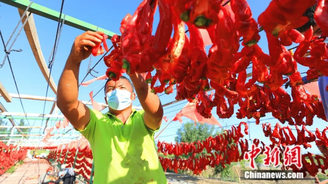 
北京八大处整形医院黄牛代挂号电话票贩子号贩子网上预约挂号,住院检查加快,全球12%辣椒红素产自新疆这座小城