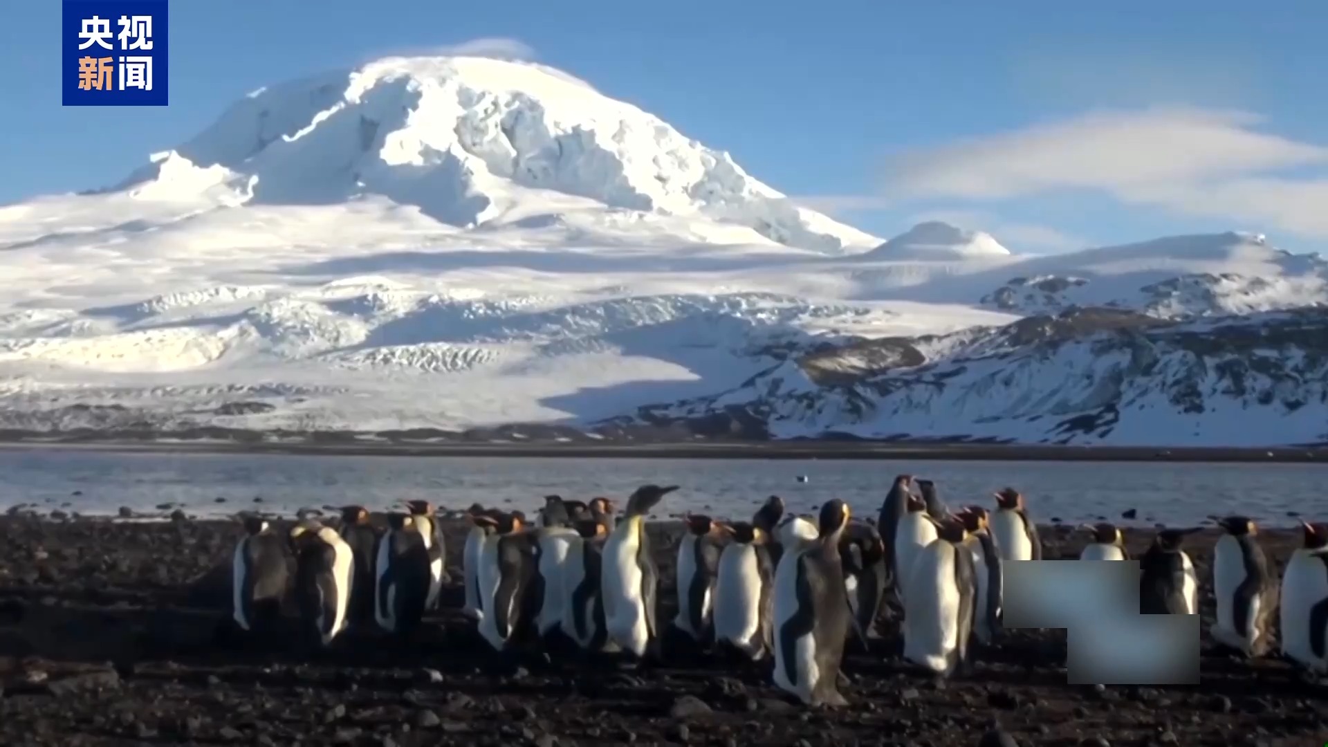 
北医六院黄牛代挂号电话票贩子号贩子网上预约挂号,住院检查加快,美“对等关税”清单槽点拉满：罚到企鹅老家 税率算法简单粗暴