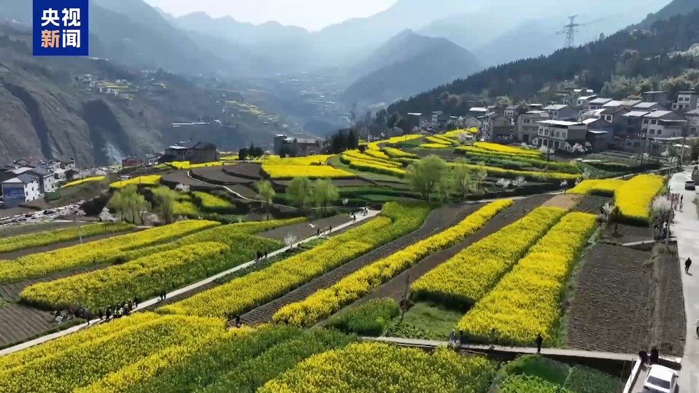 
中山大学中山眼科中心黄牛代挂号电话票贩子号贩子网上预约挂号,住院检查加快,1.26亿人次去哪儿了？清明小长假消费“三件套”→