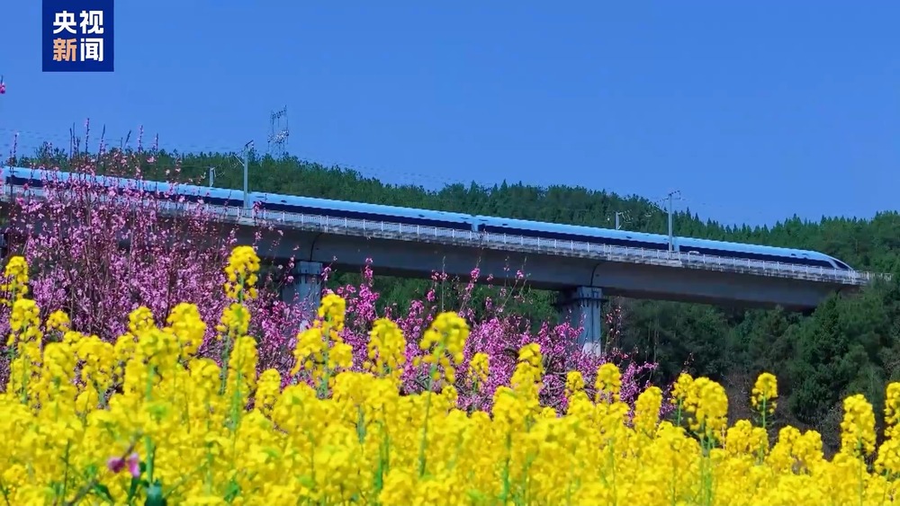 
中山大学中山眼科中心黄牛代挂号电话票贩子号贩子网上预约挂号,住院检查加快,1.26亿人次去哪儿了？清明小长假消费“三件套”→