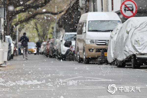 4月8日，北京街头杨柳絮已飘飞。（图/中国天气网 王晓）
