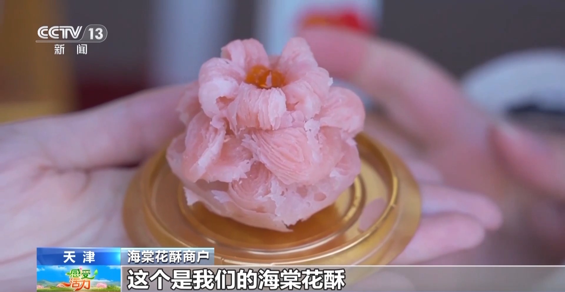 
江苏省中西医结合医院黄牛代挂号电话票贩子号贩子网上预约挂号,住院检查加快,海棠花开了 跟主播一起感受被天津“捧在手心里宠”~