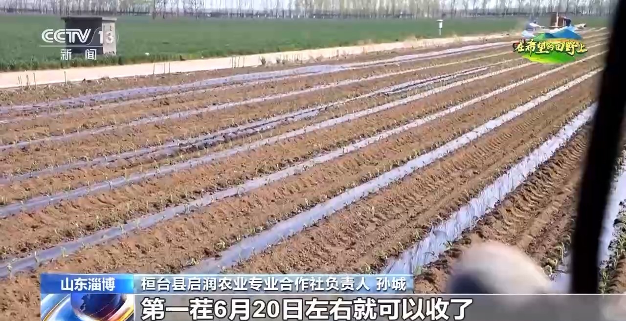 
北京安定医院黄牛代挂号电话票贩子号贩子网上预约挂号,住院检查加快,北斗导航、数字平台、无人机……来看农耕里的“科技范”