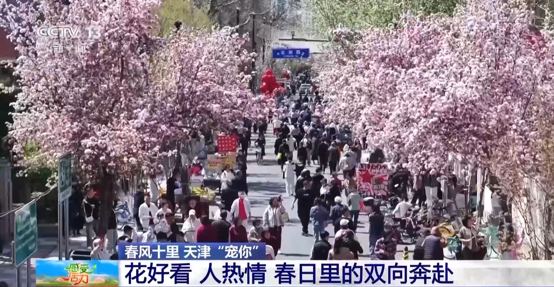 
江苏省中西医结合医院黄牛代挂号电话票贩子号贩子网上预约挂号,住院检查加快,海棠花开了 跟主播一起感受被天津“捧在手心里宠”~