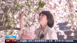 
江苏省中西医结合医院黄牛代挂号电话票贩子号贩子网上预约挂号,住院检查加快,海棠花开了 跟主播一起感受被天津“捧在手心里宠”~