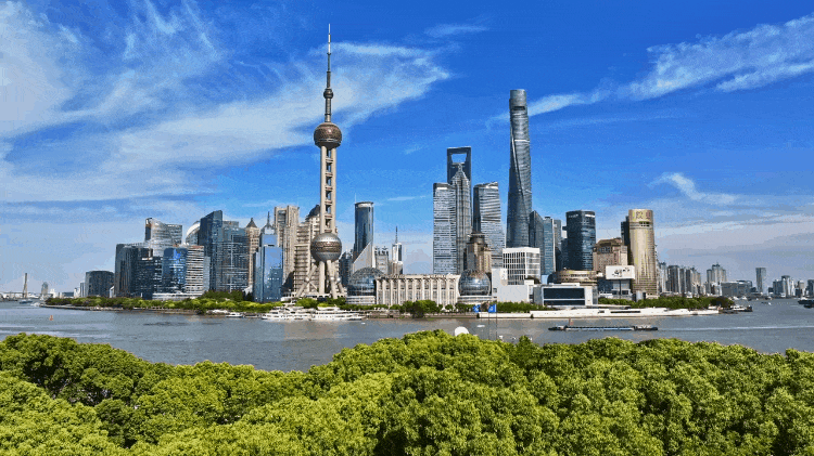 
杭州市第一人民医院黄牛代挂号电话票贩子号贩子网上预约挂号,住院检查加快,时政微纪录丨习近平总书记上海行