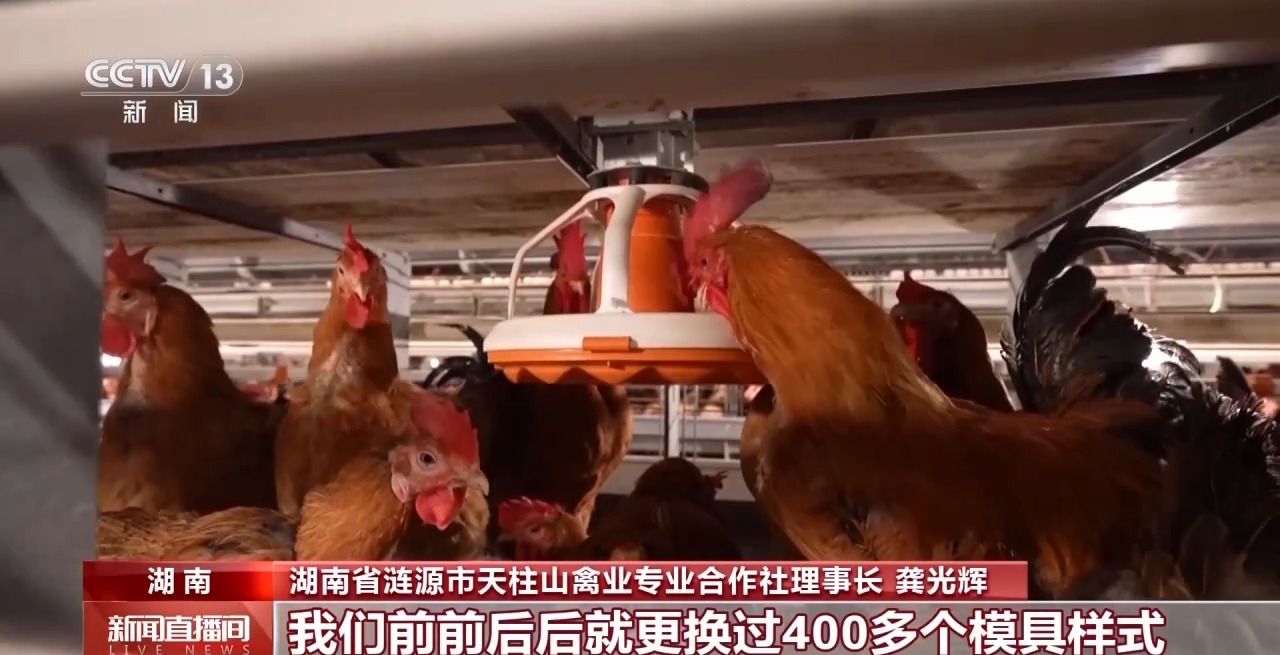
上海儿科医院黄牛代挂号电话票贩子号贩子网上预约挂号,住院检查加快,劳动者之歌丨德国设备“水土不服”？海归硕士变“鸡司令”开发智慧养鸡生产线
