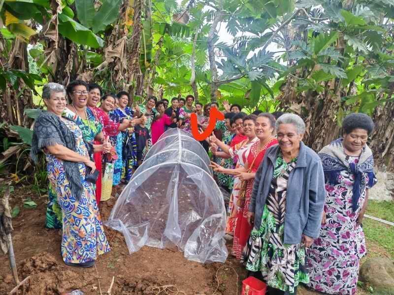 
北医三院黄牛代挂号电话票贩子号贩子网上预约挂号,住院检查加快,劳动荣光 筑梦海外丨这株中国“神奇的草”为何在斐济实力圈粉？