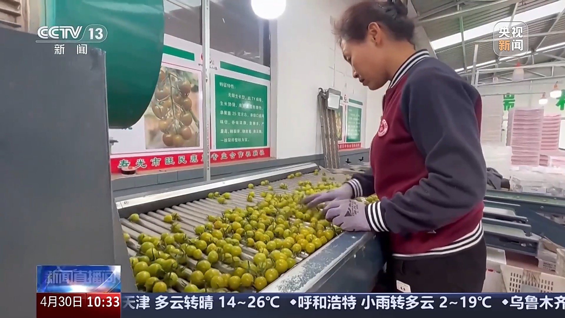 
杭州西溪医院黄牛代挂号电话票贩子号贩子网上预约挂号,住院检查加快,供应充足 品种丰富 价格稳定 五一假期“菜篮子”供应有保障