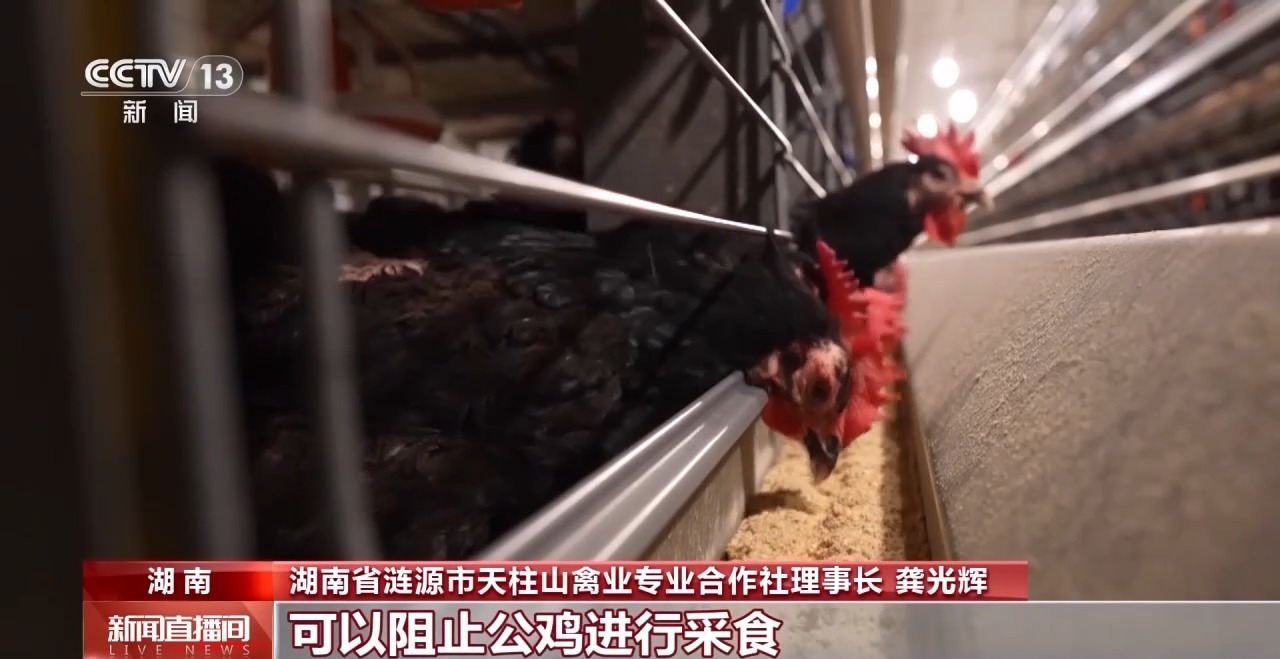 
上海儿科医院黄牛代挂号电话票贩子号贩子网上预约挂号,住院检查加快,劳动者之歌丨德国设备“水土不服”？海归硕士变“鸡司令”开发智慧养鸡生产线
