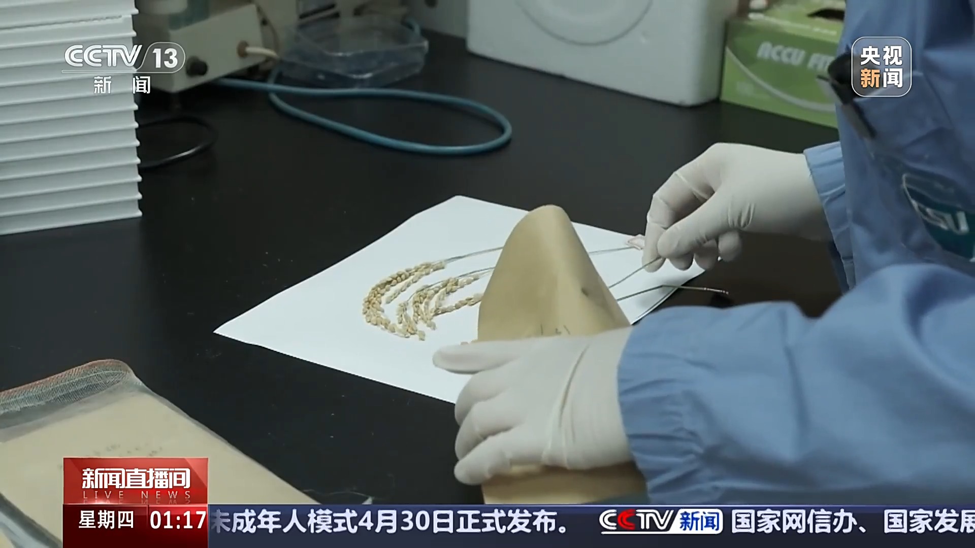 
上海第十人民医院黄牛代挂号电话票贩子号贩子网上预约挂号,住院检查加快,中国空间站多项太空实验已取得成果 未来将陆续开展千余项研究