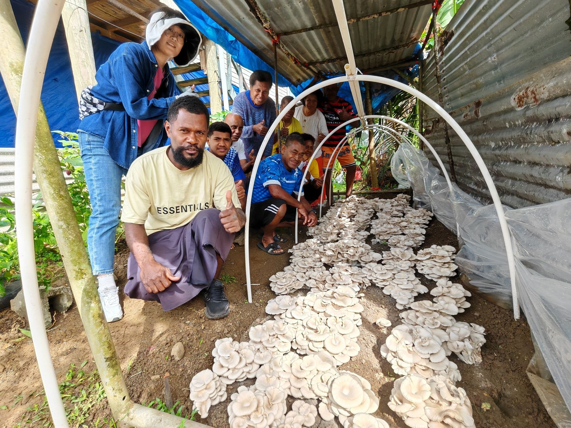 
北医三院黄牛代挂号电话票贩子号贩子网上预约挂号,住院检查加快,劳动荣光 筑梦海外丨这株中国“神奇的草”为何在斐济实力圈粉？