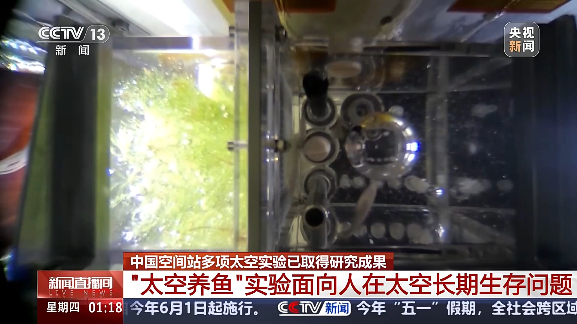 
上海第十人民医院黄牛代挂号电话票贩子号贩子网上预约挂号,住院检查加快,中国空间站多项太空实验已取得成果 未来将陆续开展千余项研究