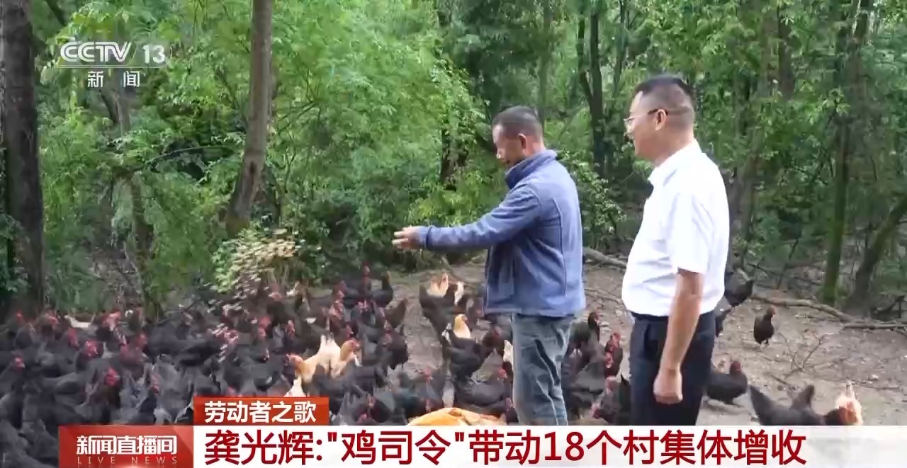 
上海儿科医院黄牛代挂号电话票贩子号贩子网上预约挂号,住院检查加快,劳动者之歌丨德国设备“水土不服”？海归硕士变“鸡司令”开发智慧养鸡生产线