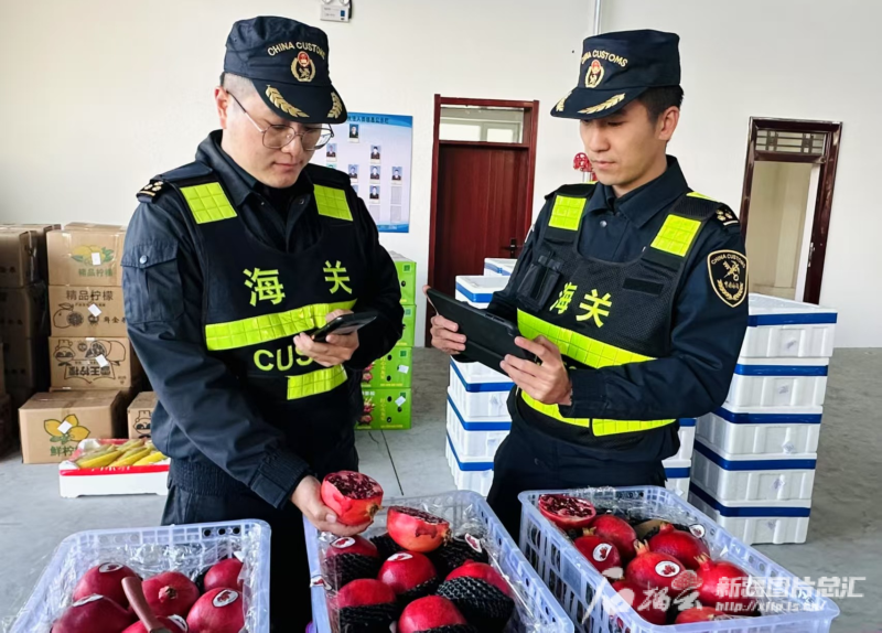 
长沙各大医院黄牛代挂号电话票贩子号贩子网上预约挂号,住院检查加快,新疆外贸缘何逆势上扬
