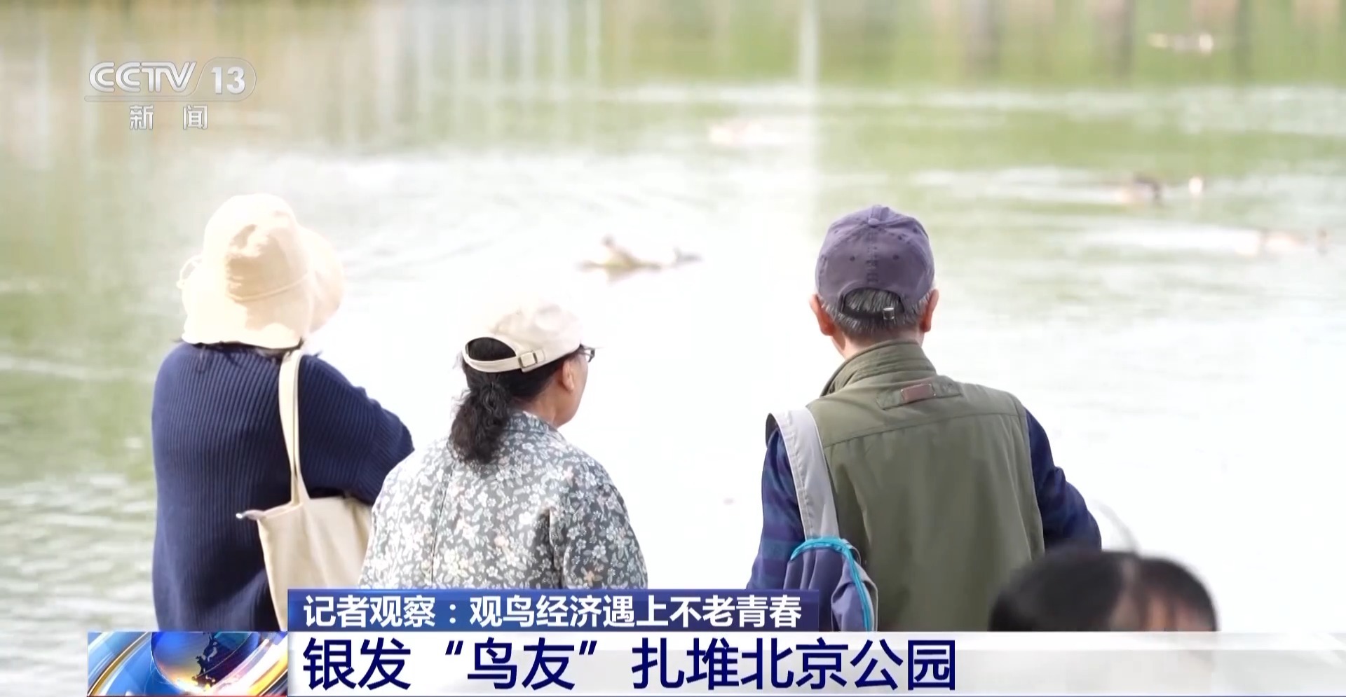 
代挂姜玉武的号黄牛代挂号电话票贩子号贩子网上预约挂号,住院检查加快,公园长满“打鸟”大爷 银发一族助力小城“观鸟经济”