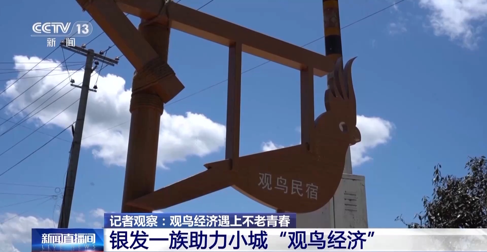 
代挂姜玉武的号黄牛代挂号电话票贩子号贩子网上预约挂号,住院检查加快,公园长满“打鸟”大爷 银发一族助力小城“观鸟经济”