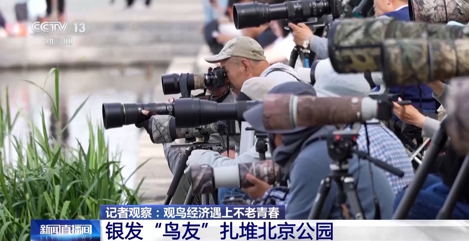 
代挂姜玉武的号黄牛代挂号电话票贩子号贩子网上预约挂号,住院检查加快,公园长满“打鸟”大爷 银发一族助力小城“观鸟经济”