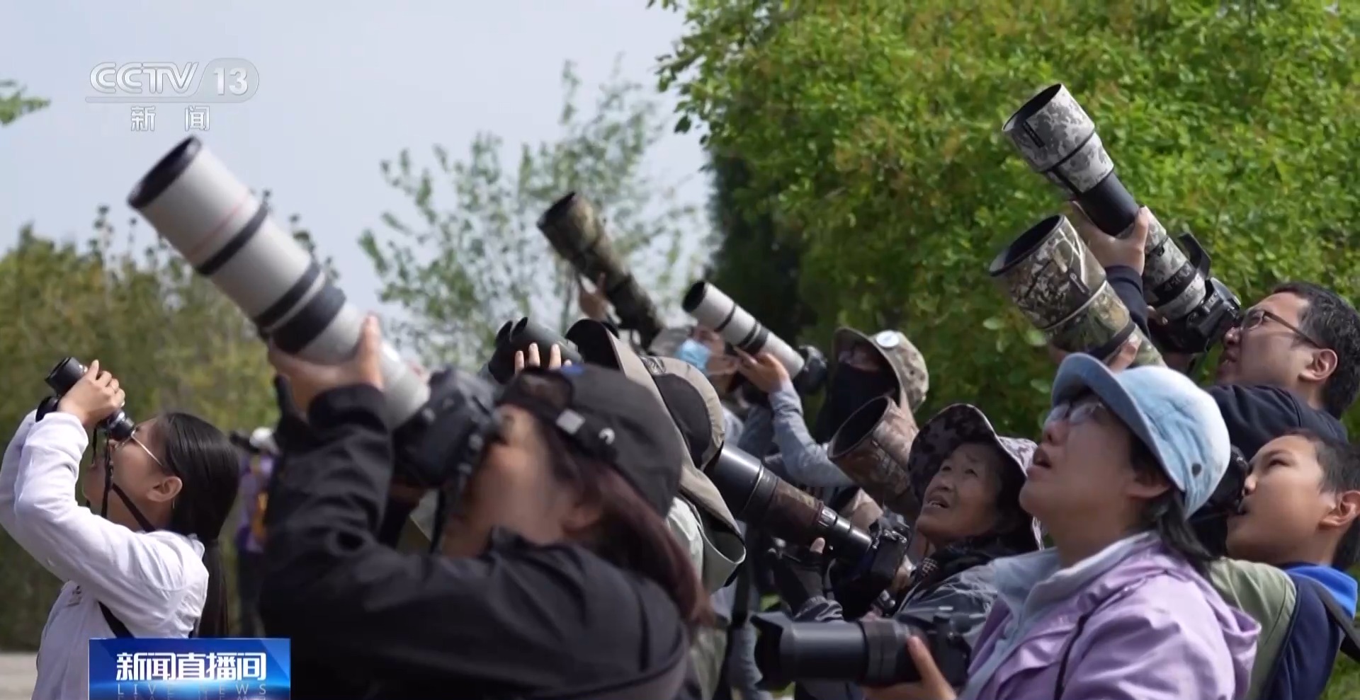 
代挂姜玉武的号黄牛代挂号电话票贩子号贩子网上预约挂号,住院检查加快,公园长满“打鸟”大爷 银发一族助力小城“观鸟经济”