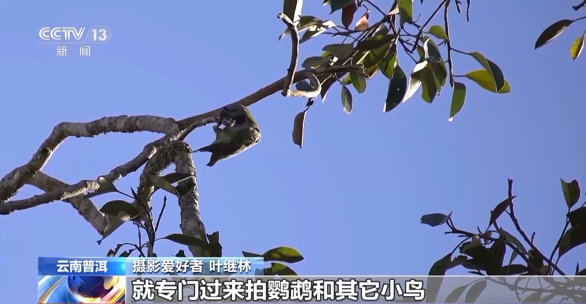 
代挂姜玉武的号黄牛代挂号电话票贩子号贩子网上预约挂号,住院检查加快,公园长满“打鸟”大爷 银发一族助力小城“观鸟经济”