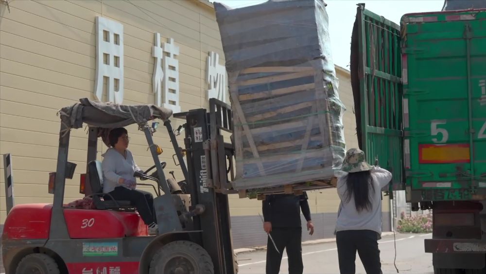 
南京军区总医院黄牛代挂号电话票贩子号贩子网上预约挂号,住院检查加快,新华视点｜乡村蝶变交响曲