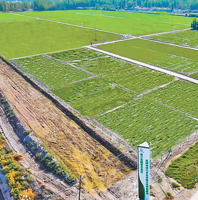 
成都华西医院黄牛代挂号电话票贩子号贩子网上预约挂号,住院检查加快,沙漠旁的疏勒蔬果香（经济新方位·县域经济观察）