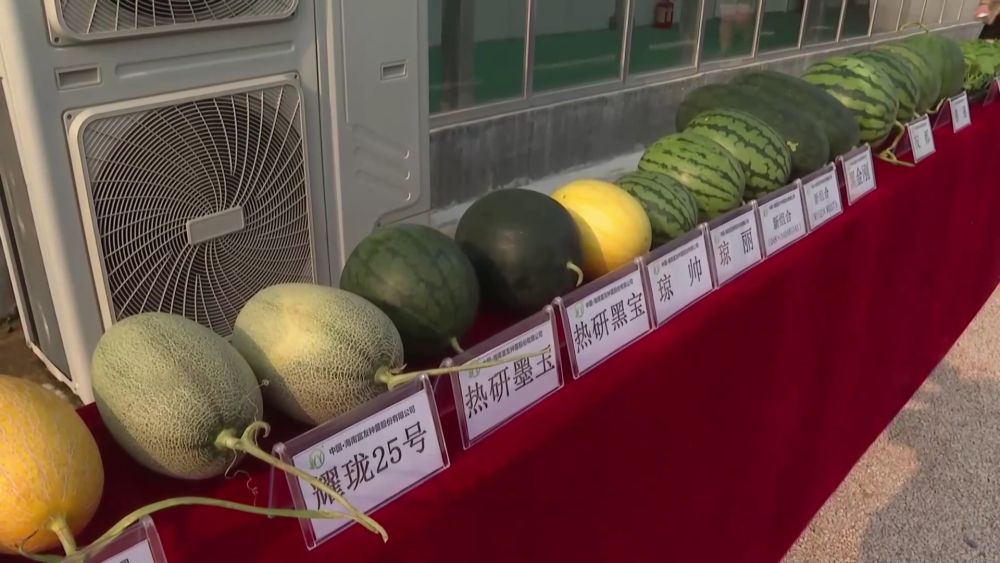
南京军区总医院黄牛代挂号电话票贩子号贩子网上预约挂号,住院检查加快,新华视点｜乡村蝶变交响曲