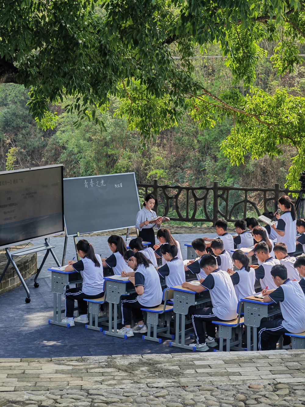 
北京301医院黄牛代挂号电话票贩子号贩子网上预约挂号,住院检查加快,什么是“青春之光”？大榕树下的一堂语文课，给出了答案