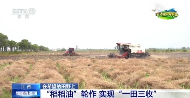 
浙江医院黄牛代挂号电话票贩子号贩子网上预约挂号,住院检查加快,在希望的田野上丨东北春播进度近三成 一键查看各地农业生产进度条→