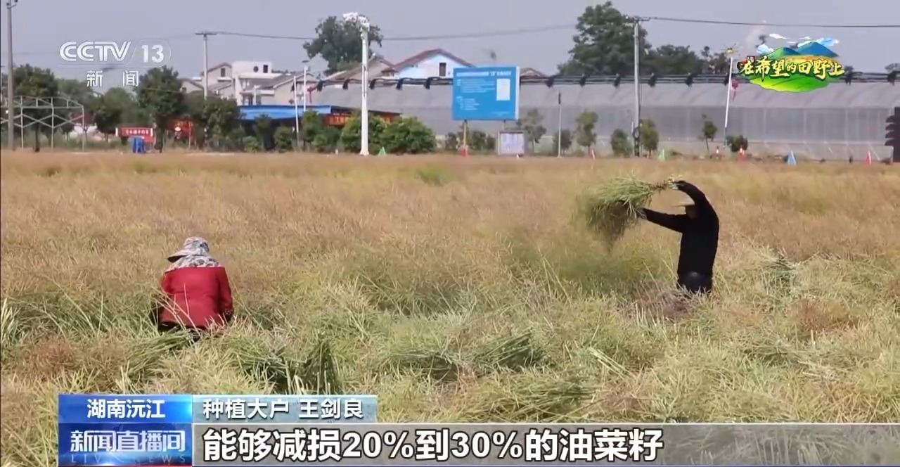 
浙江医院黄牛代挂号电话票贩子号贩子网上预约挂号,住院检查加快,在希望的田野上丨东北春播进度近三成 一键查看各地农业生产进度条→