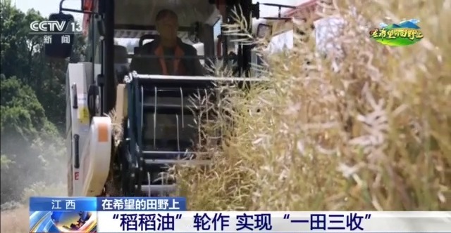 
浙江医院黄牛代挂号电话票贩子号贩子网上预约挂号,住院检查加快,在希望的田野上丨东北春播进度近三成 一键查看各地农业生产进度条→