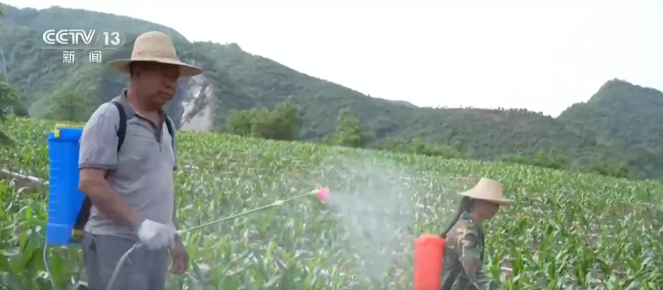 北京各大医院黄牛代挂号电话票贩子号贩子网上预约挂号,住院检查加快,打好抗旱保供“组合拳” 全力守护群众生产生活用水安全