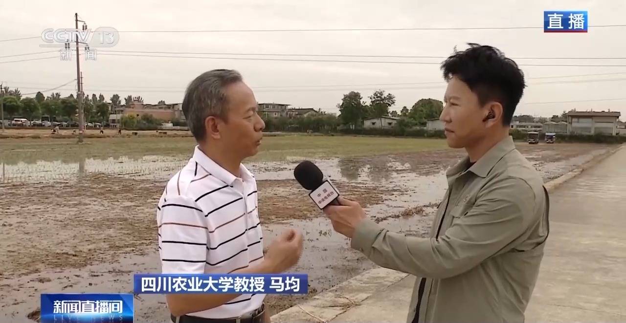 
北京302医院黄牛代挂号电话票贩子号贩子网上预约挂号,住院检查加快,小麦也有“身份证” 丰收和播种在这里“同框”