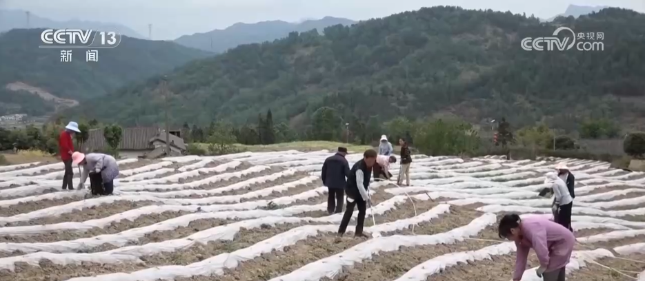 北京各大医院黄牛代挂号电话票贩子号贩子网上预约挂号,住院检查加快,打好抗旱保供“组合拳” 全力守护群众生产生活用水安全