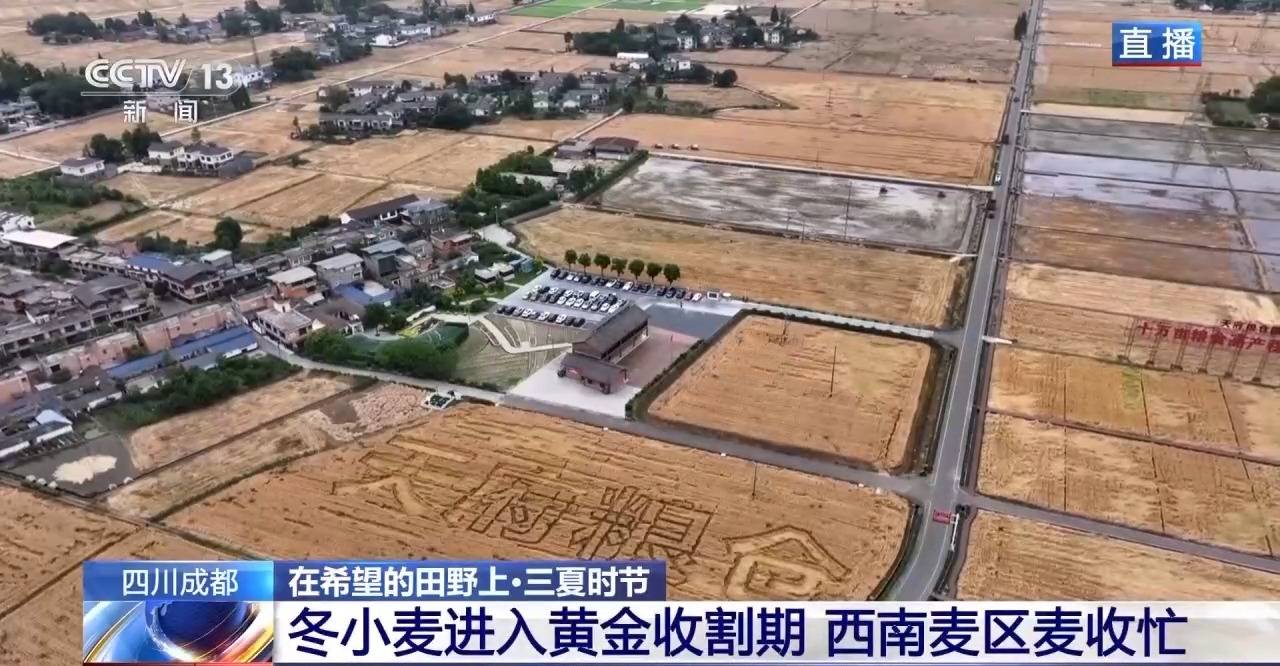 
北京302医院黄牛代挂号电话票贩子号贩子网上预约挂号,住院检查加快,小麦也有“身份证” 丰收和播种在这里“同框”