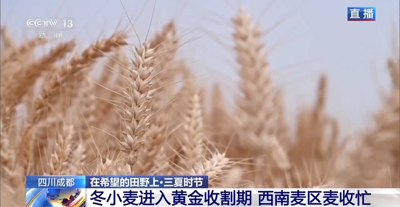 
北京302医院黄牛代挂号电话票贩子号贩子网上预约挂号,住院检查加快,小麦也有“身份证” 丰收和播种在这里“同框”