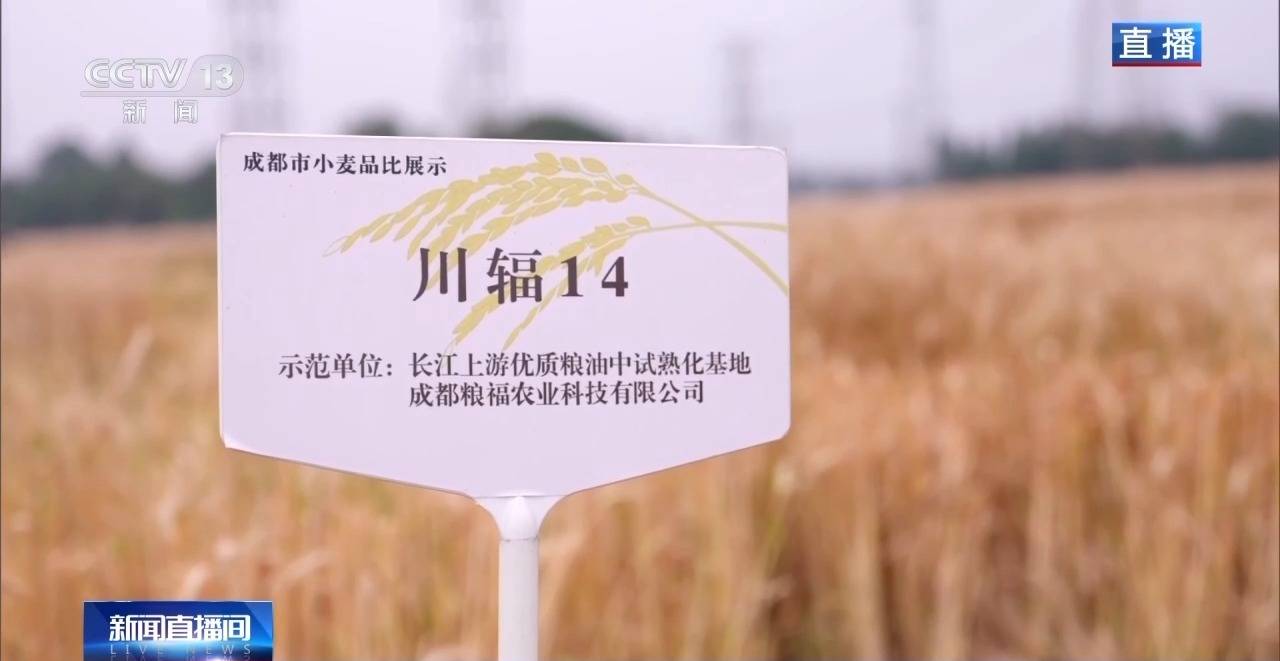 
北京302医院黄牛代挂号电话票贩子号贩子网上预约挂号,住院检查加快,小麦也有“身份证” 丰收和播种在这里“同框”