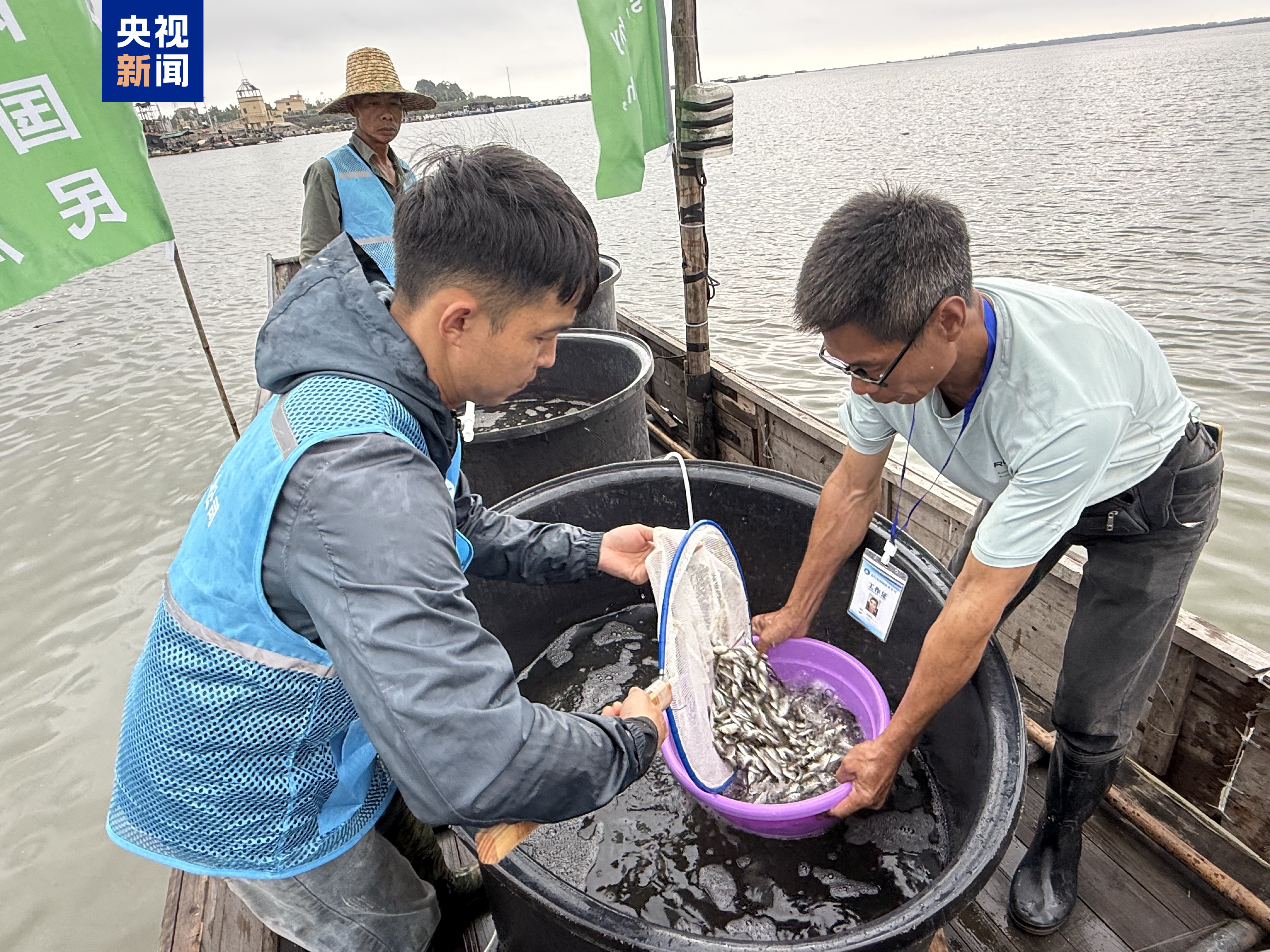 
广州市越秀区中医医院黄牛号贩子挂号电话中越联合举行2025年北部湾渔业资源增殖放流活动